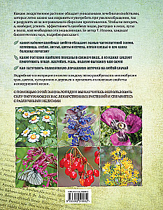 Medicinal Plants. Large Illustrated Encyclopedia