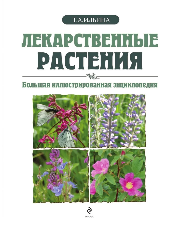 Medicinal Plants. Large Illustrated Encyclopedia