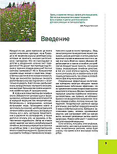 Medicinal Plants. Large Illustrated Encyclopedia