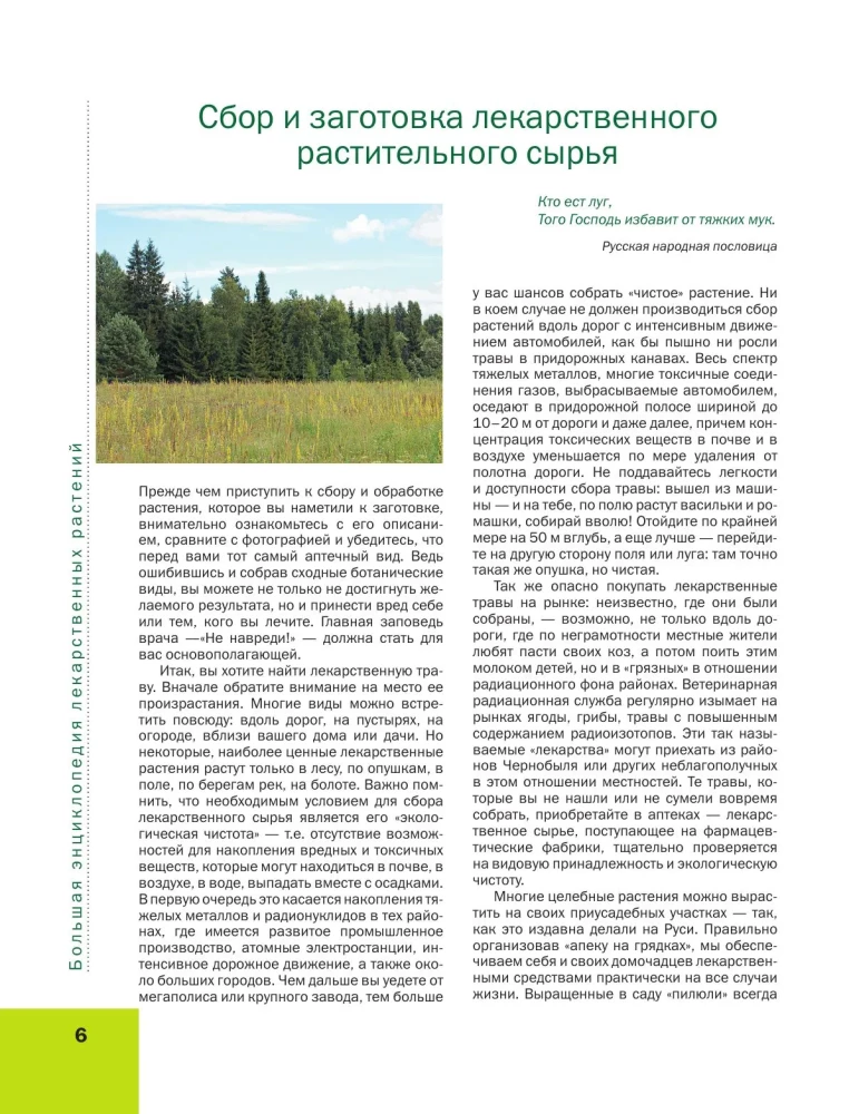 Medicinal Plants. Large Illustrated Encyclopedia