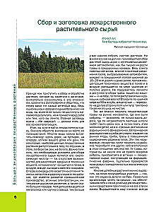 Medicinal Plants. Large Illustrated Encyclopedia