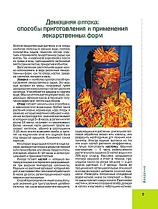 Medicinal Plants. Large Illustrated Encyclopedia