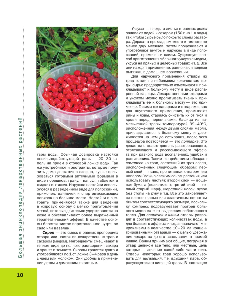 Medicinal Plants. Large Illustrated Encyclopedia