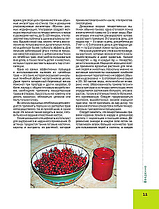 Medicinal Plants. Large Illustrated Encyclopedia