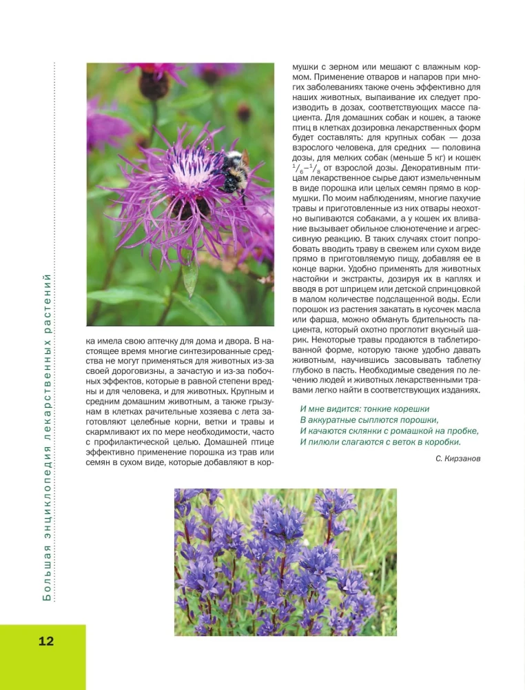 Medicinal Plants. Large Illustrated Encyclopedia