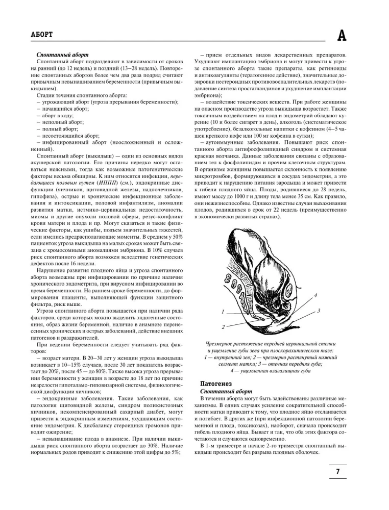 The Big Medical Encyclopedia