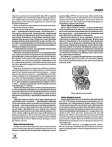 The Big Medical Encyclopedia