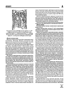 The Big Medical Encyclopedia