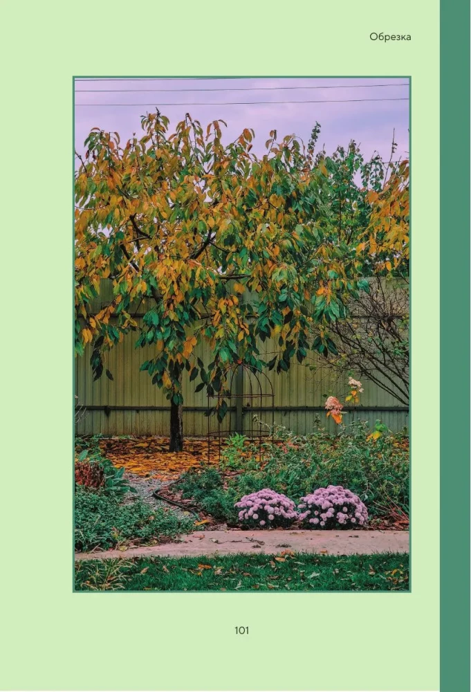 Cheat Sheet for Gardeners. Practical Tips for Low-Maintenance Garden Work from Tatyana Selezneva