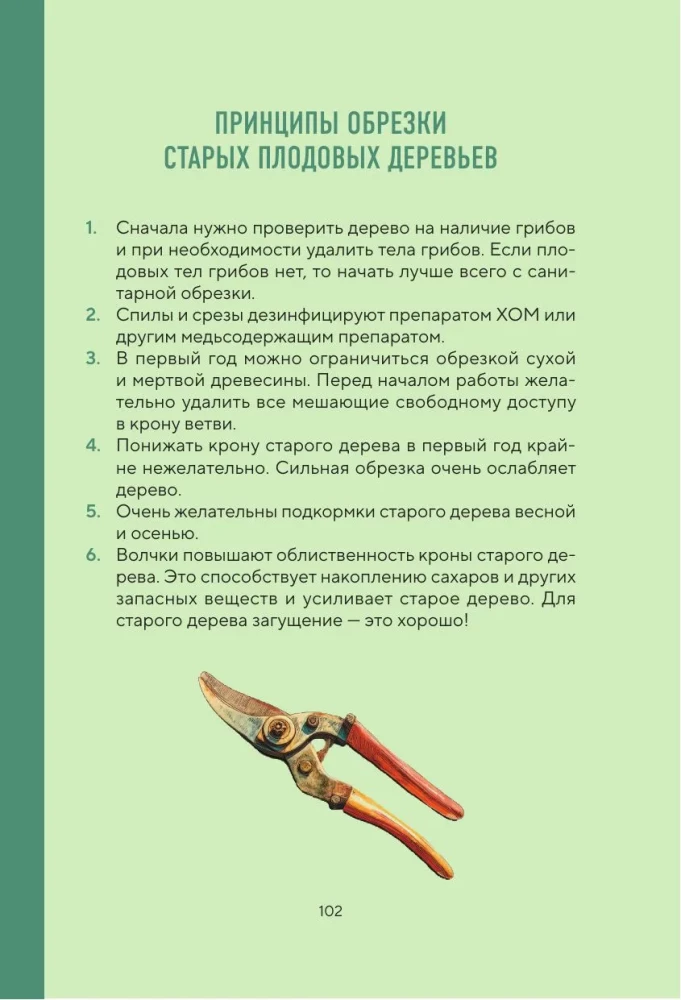 Cheat Sheet for Gardeners. Practical Tips for Low-Maintenance Garden Work from Tatyana Selezneva