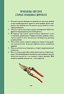 Cheat Sheet for Gardeners. Practical Tips for Low-Maintenance Garden Work from Tatyana Selezneva