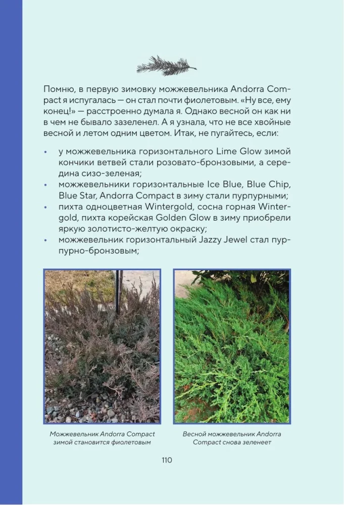 Cheat Sheet for Gardeners. Practical Tips for Low-Maintenance Garden Work from Tatyana Selezneva