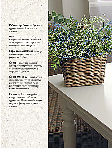 Weave like a Designer. From Lampshade to Table Made of Paper Wicker. Complete Practical Guide for Beginners and Enthusiasts