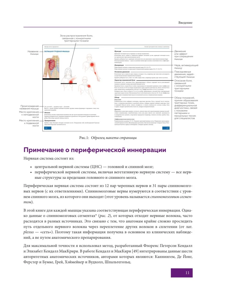 Atlas of Trigger Points. Modern Approaches to Working with Muscles and Joints in Pain Syndromes
