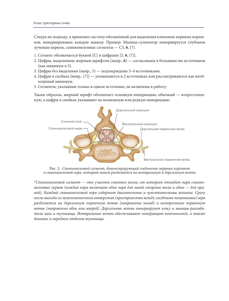 Atlas of Trigger Points. Modern Approaches to Working with Muscles and Joints in Pain Syndromes