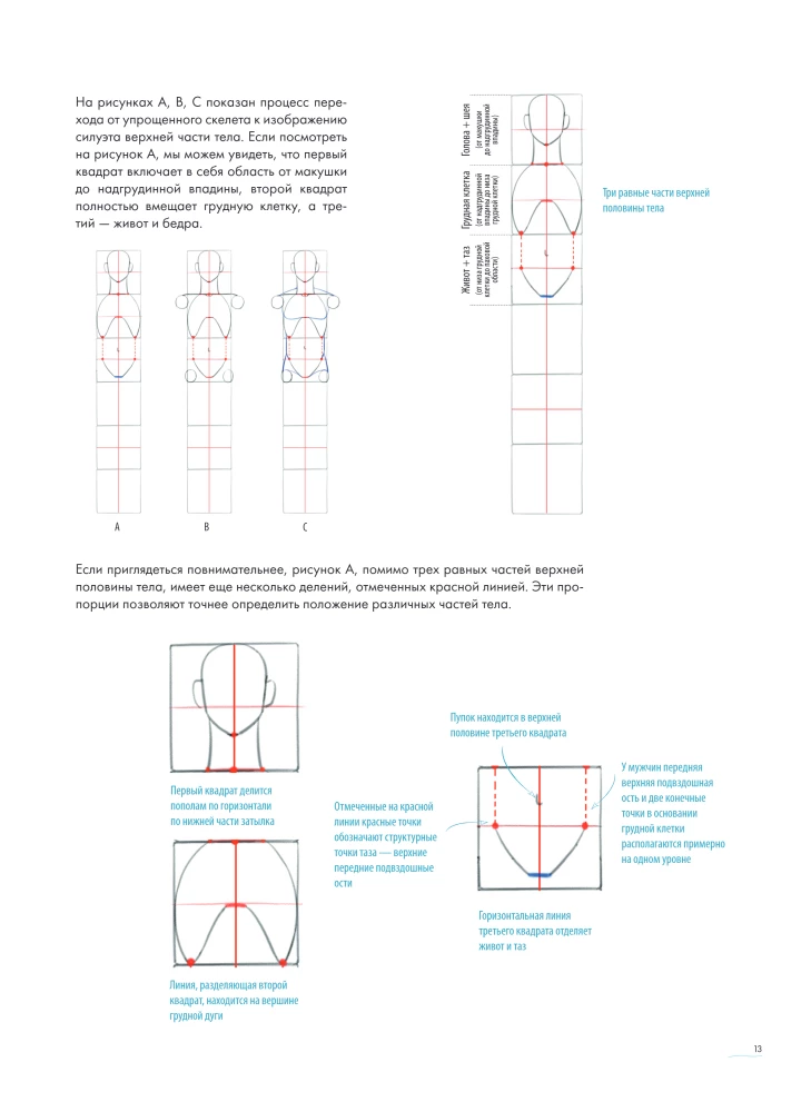 The Human in Motion. A Detailed Anatomical Course on Drawing: From General Shape to Perspective