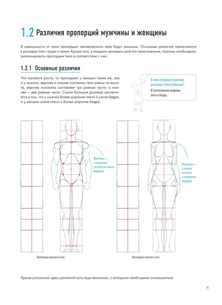 The Human in Motion. A Detailed Anatomical Course on Drawing: From General Shape to Perspective