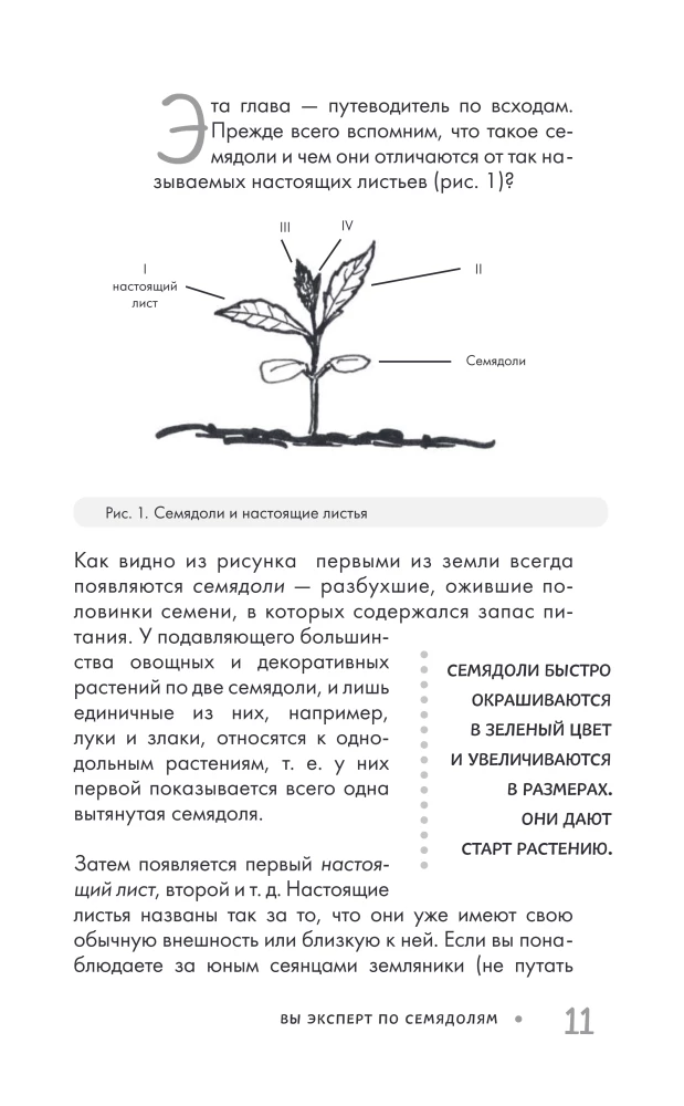 Garden Without Weeding. The Best Strategy in the Fight Against Weeds