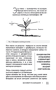 Garden Without Weeding. The Best Strategy in the Fight Against Weeds