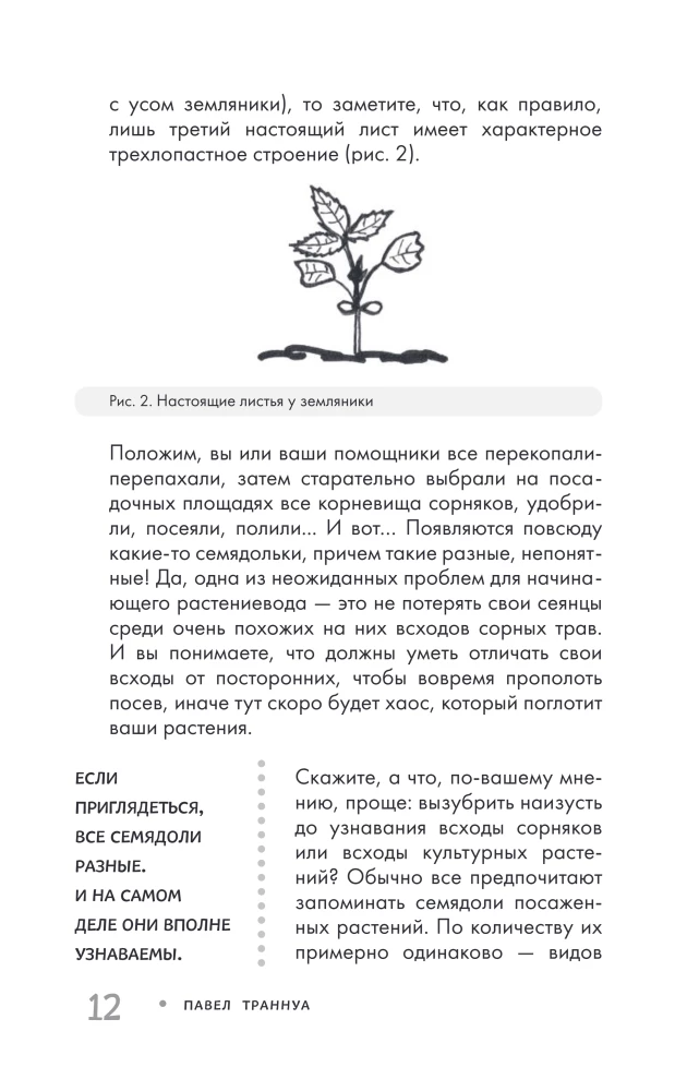 Garden Without Weeding. The Best Strategy in the Fight Against Weeds