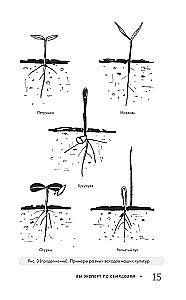 Garden Without Weeding. The Best Strategy in the Fight Against Weeds