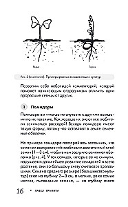 Garden Without Weeding. The Best Strategy in the Fight Against Weeds