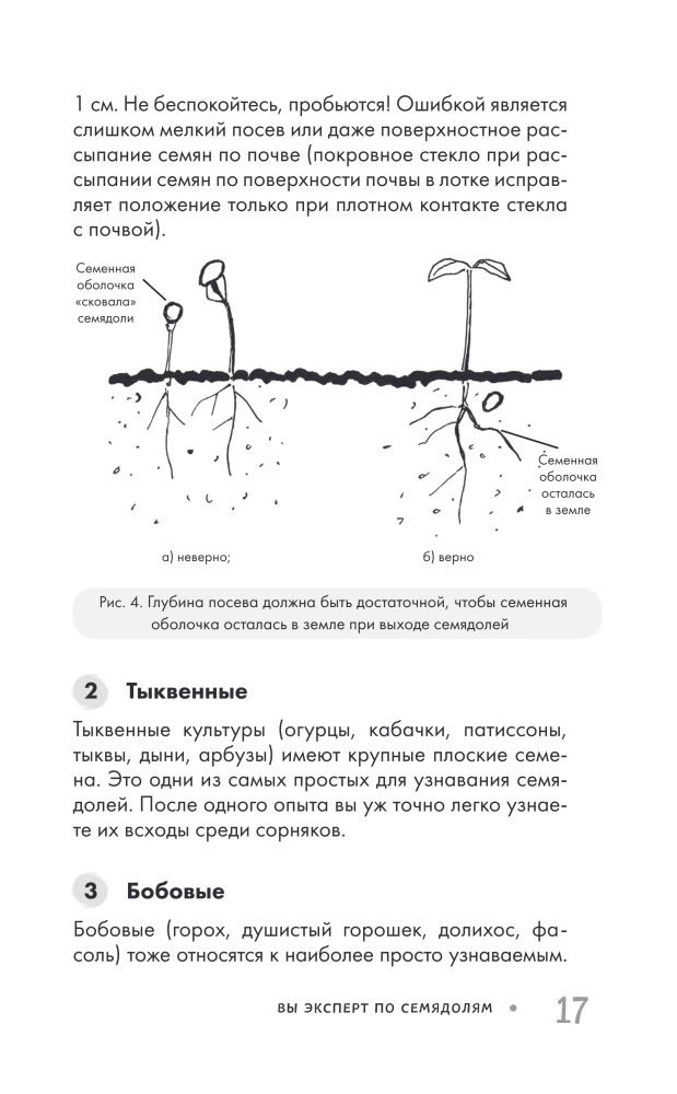 Garden Without Weeding. The Best Strategy in the Fight Against Weeds