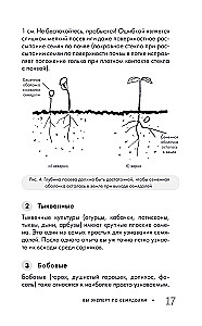 Garden Without Weeding. The Best Strategy in the Fight Against Weeds