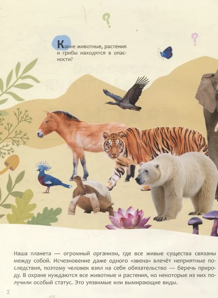 Kinder-Enzyklopädie. Rotes Buch