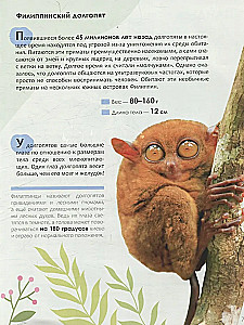 Kinder-Enzyklopädie. Rotes Buch