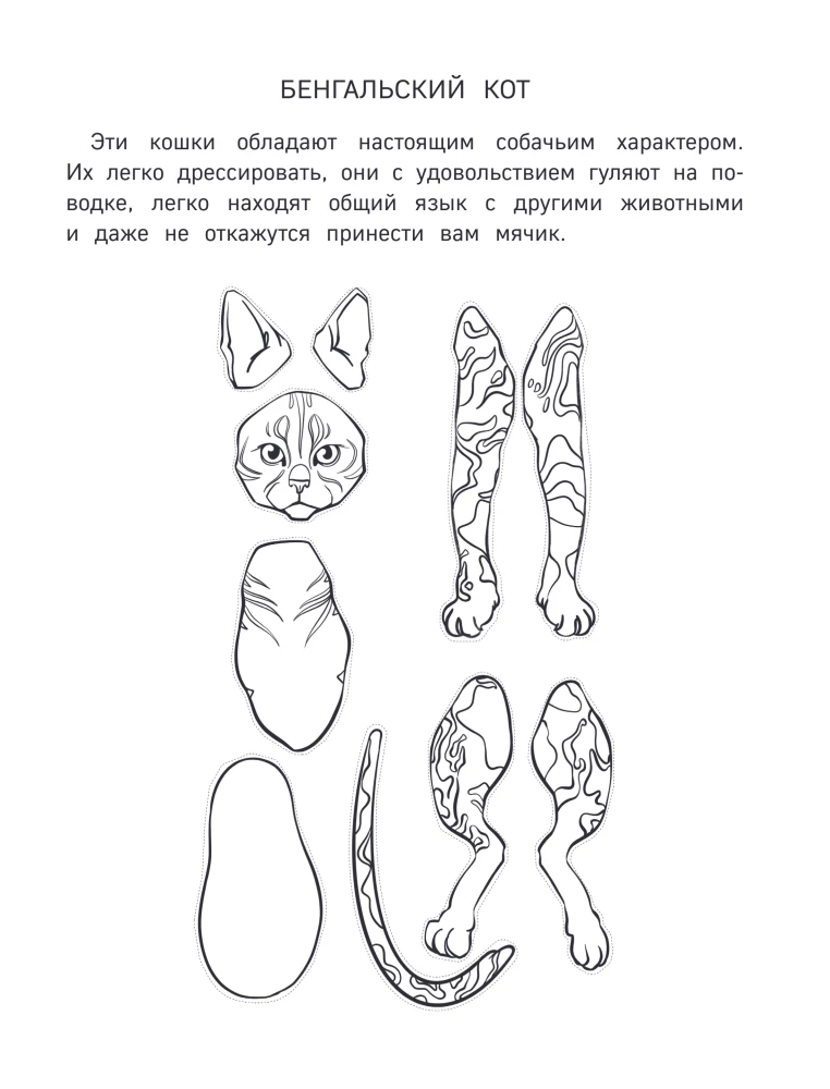 Paper Kittens. Paper Dogs. Paper Dinosaurs (set of 3 books)