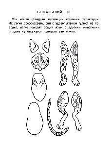 Paper Kittens. Paper Dogs. Paper Dinosaurs (set of 3 books)