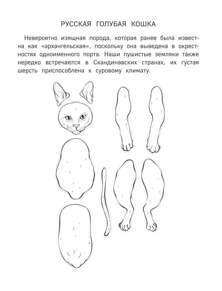 Paper Kittens. Paper Dogs. Paper Dinosaurs (set of 3 books)