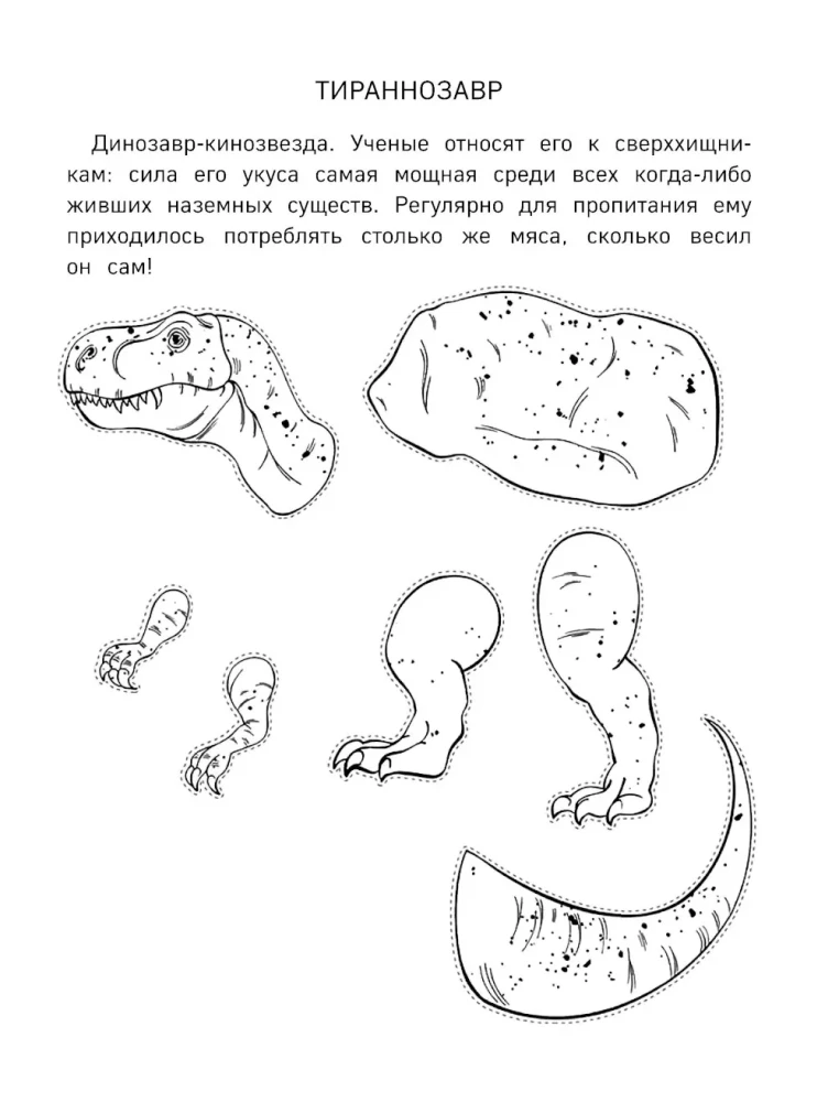 Paper Kittens. Paper Dogs. Paper Dinosaurs (set of 3 books)