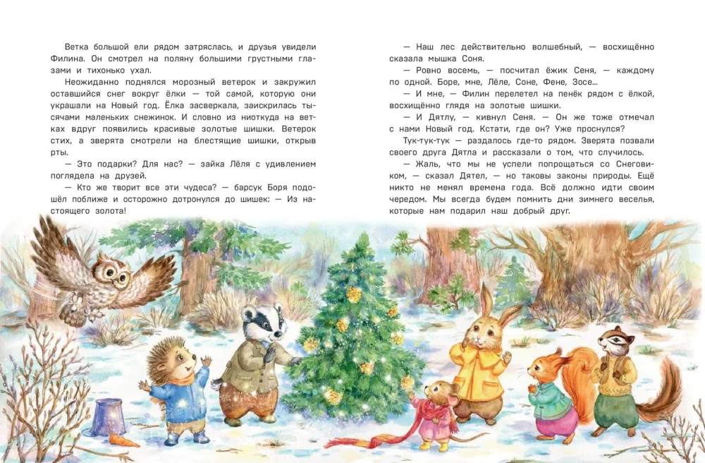 Mysterious Events in the Magic Forest