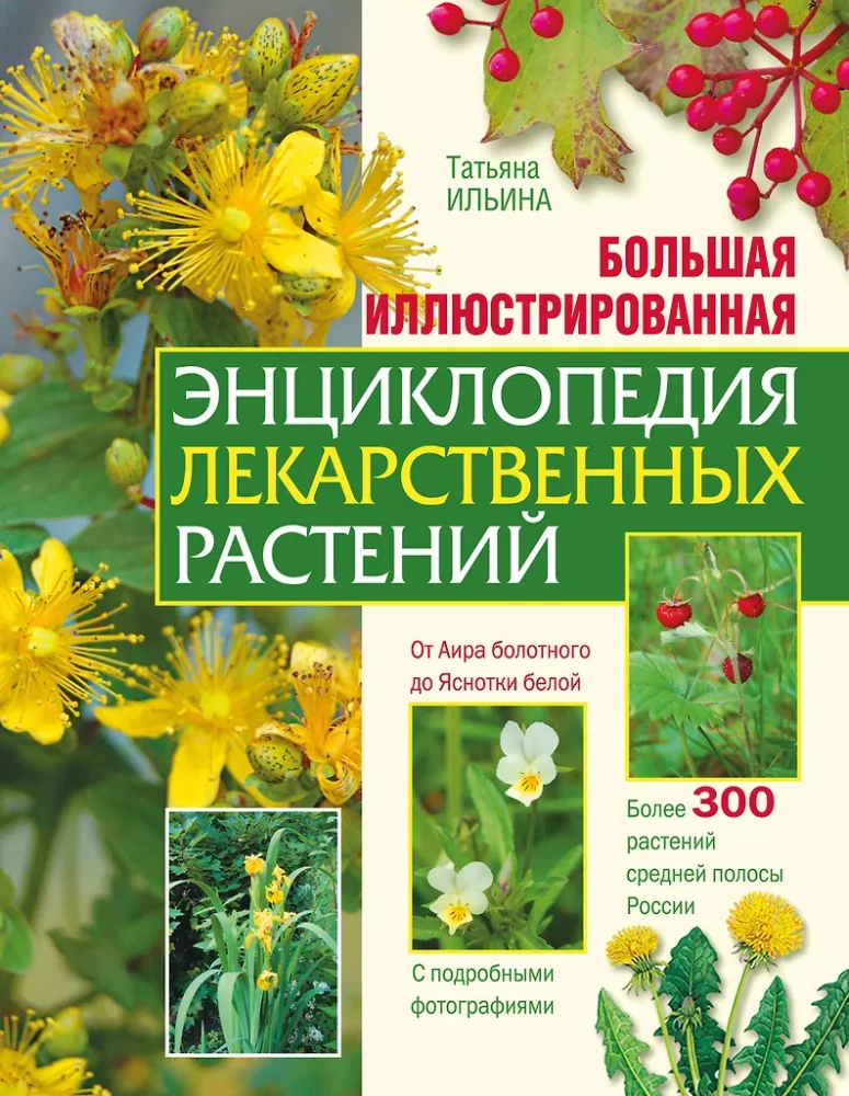 The Big Illustrated Encyclopedia of Medicinal Plants