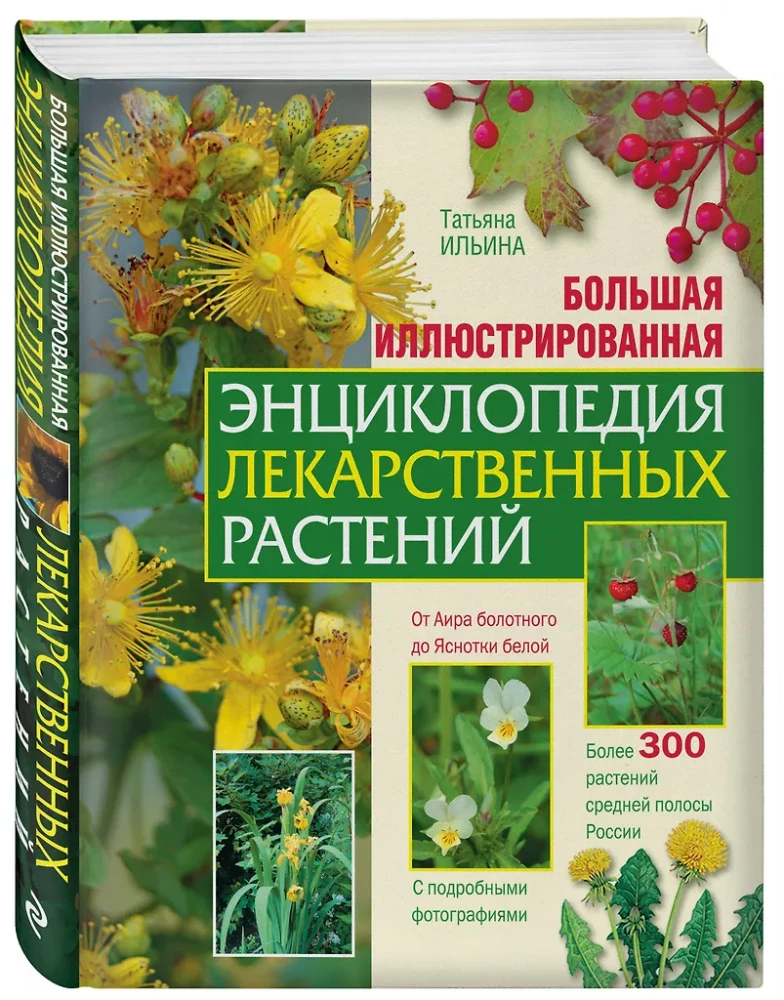 The Big Illustrated Encyclopedia of Medicinal Plants