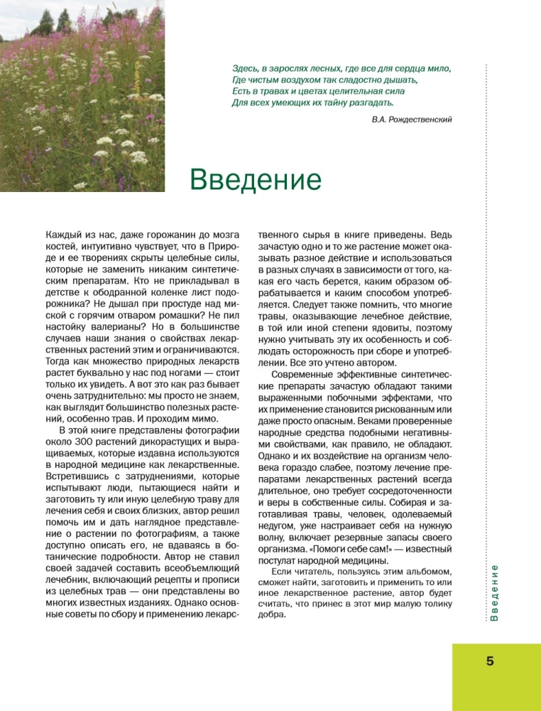 The Big Illustrated Encyclopedia of Medicinal Plants