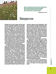 The Big Illustrated Encyclopedia of Medicinal Plants