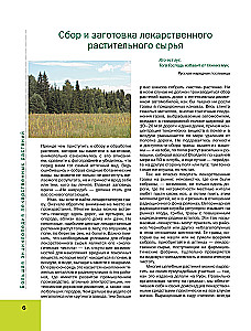 The Big Illustrated Encyclopedia of Medicinal Plants