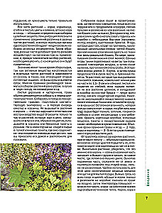 The Big Illustrated Encyclopedia of Medicinal Plants