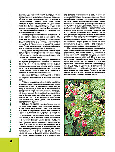 The Big Illustrated Encyclopedia of Medicinal Plants