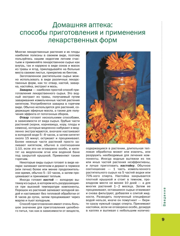 The Big Illustrated Encyclopedia of Medicinal Plants