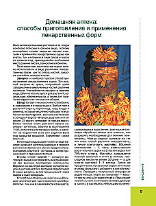 The Big Illustrated Encyclopedia of Medicinal Plants