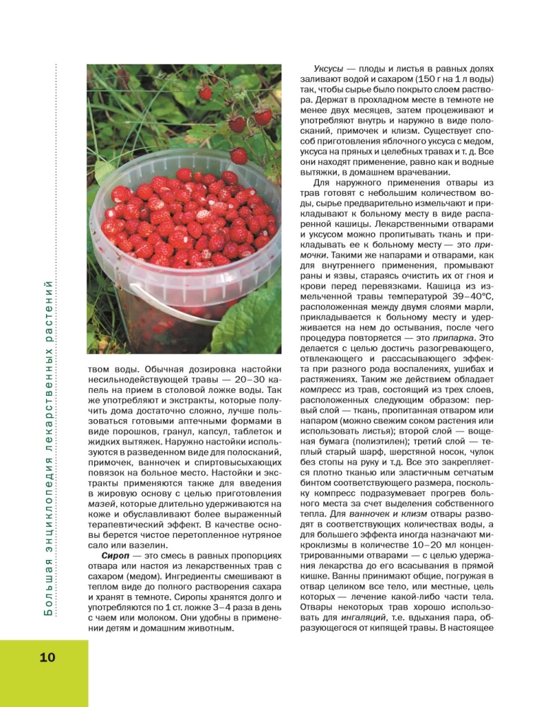 The Big Illustrated Encyclopedia of Medicinal Plants