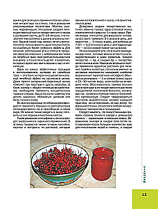 The Big Illustrated Encyclopedia of Medicinal Plants