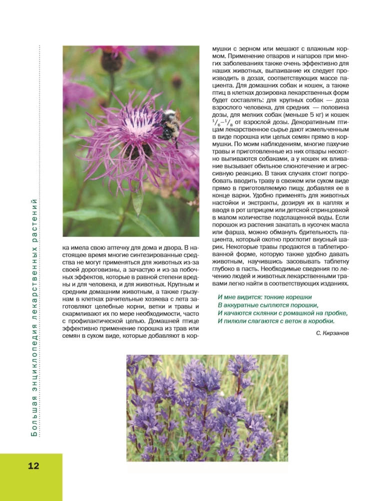 The Big Illustrated Encyclopedia of Medicinal Plants