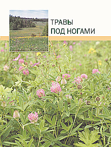 The Big Illustrated Encyclopedia of Medicinal Plants