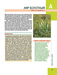 The Big Illustrated Encyclopedia of Medicinal Plants