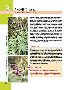 The Big Illustrated Encyclopedia of Medicinal Plants